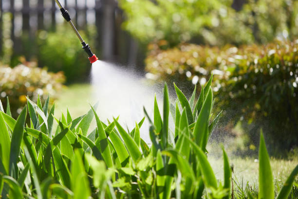 Void Injection for Cockroach Colonies in Canal Fulton
