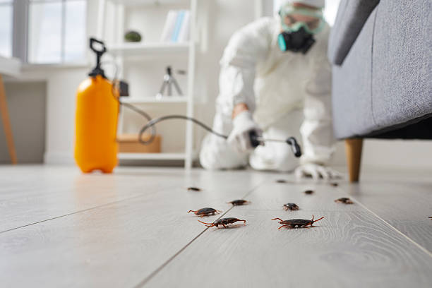 Commercial Kitchen Cockroach Control in Canal Fulton